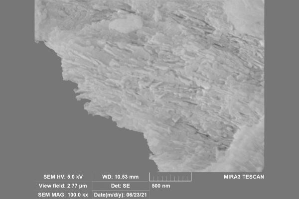 Pyrolyzed bovine bone structure at 100 kX magnification showing the interconnected network of mineral nanoplatelets.