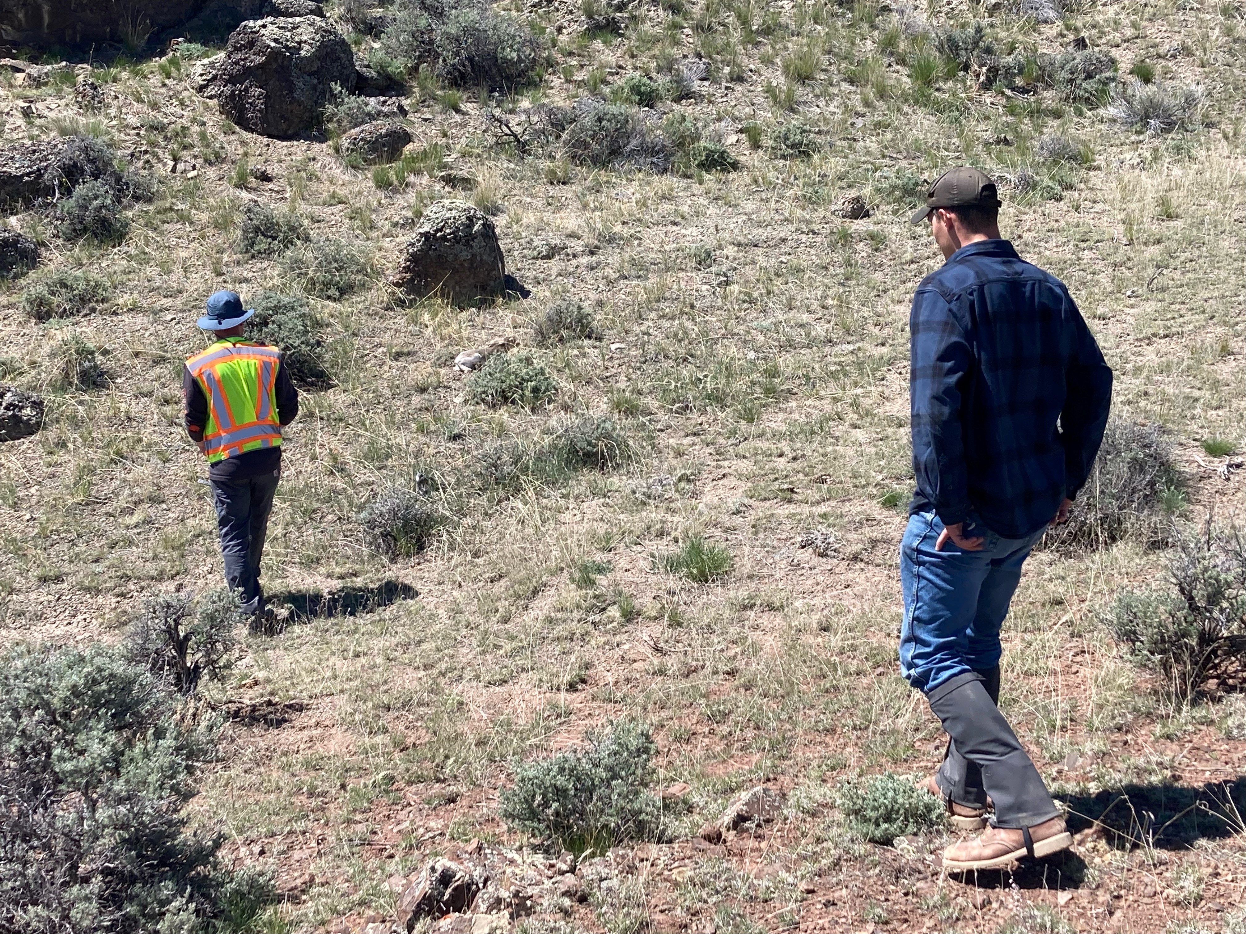 Students conduct field work