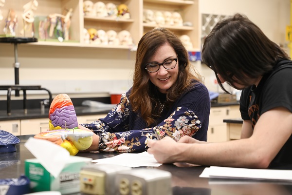 An instructor holds a model brain while assisting a student. 
