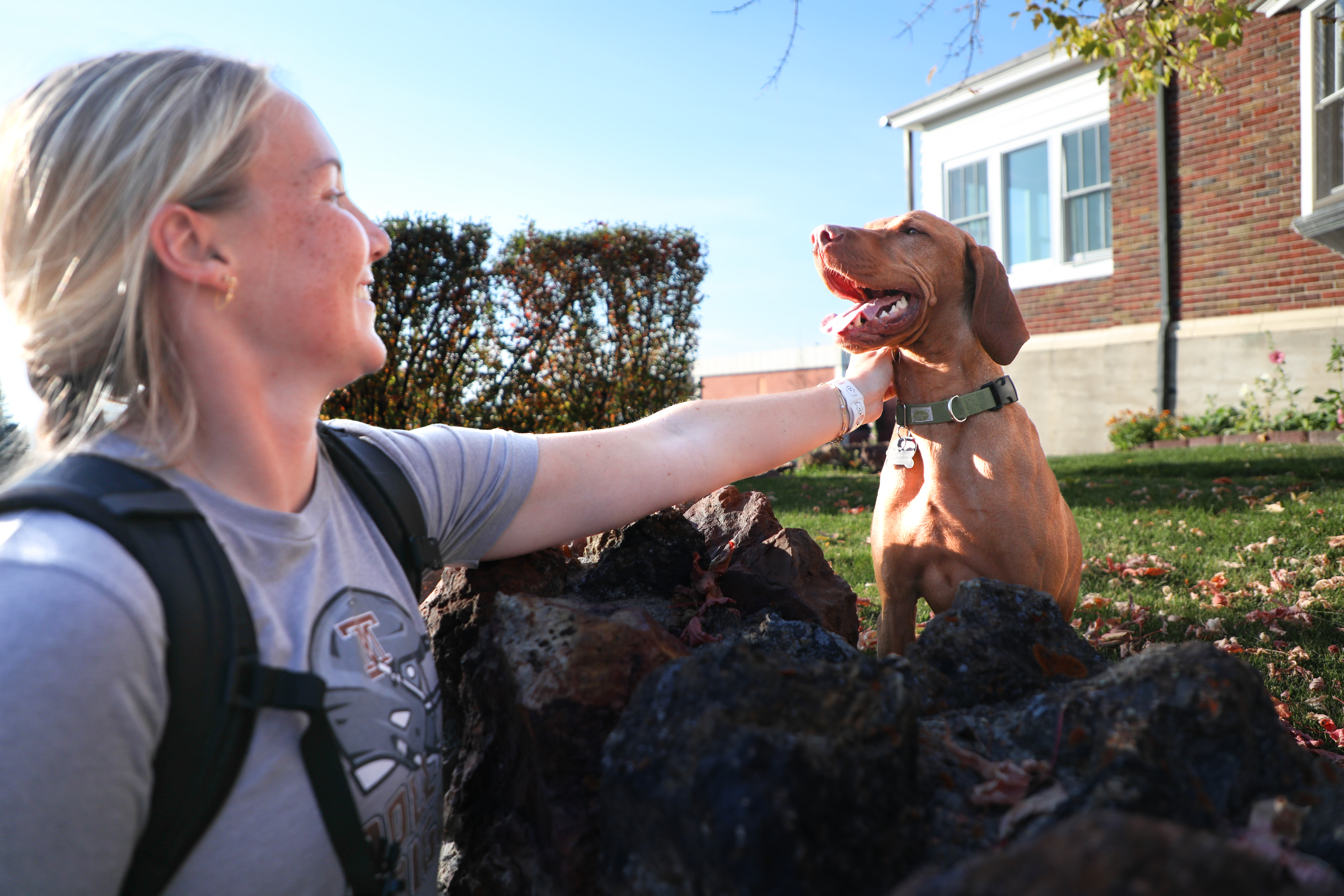 !A student pets Waylon, a dog