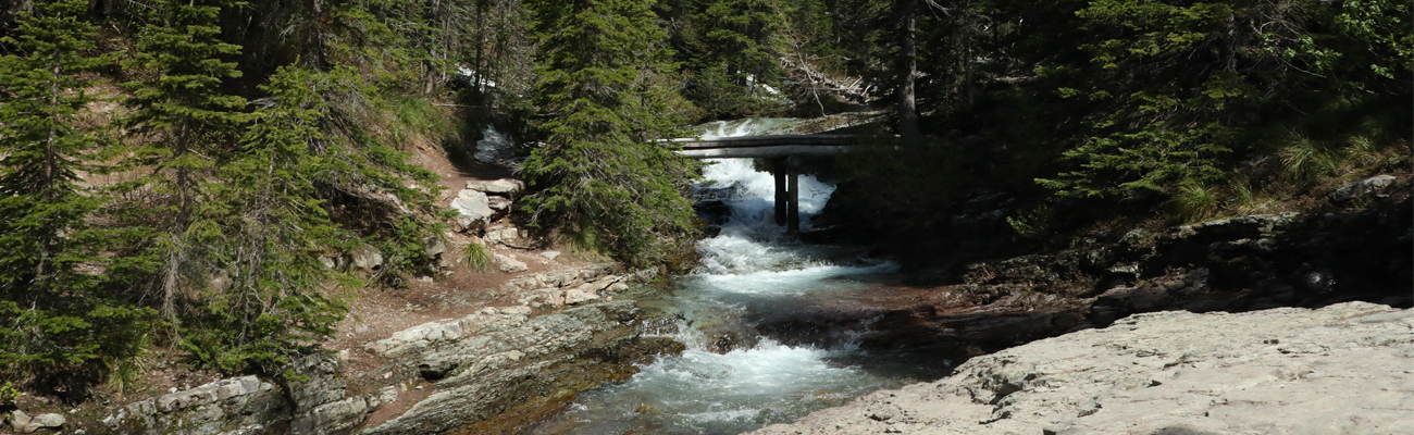 Small creek at Glacier National Park