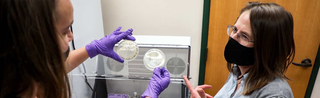 A student and professor discussing the results of petri dish samples