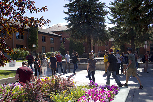 Montana tech thesis picture