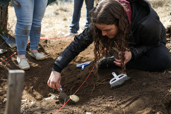 Female student digging up bones at a forensic site