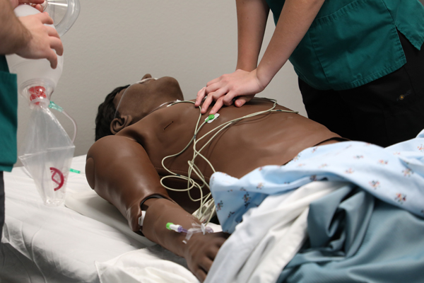 Students performing CPR on a mannequin
