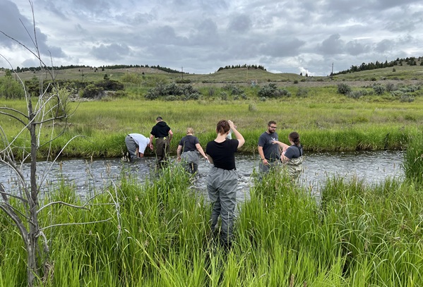 Students work in the creek.