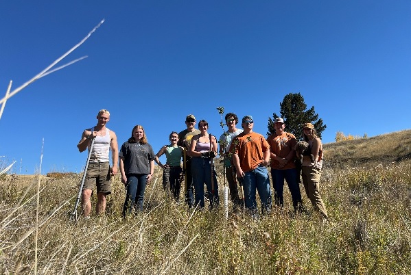 Montana Tech students plant a tree. 