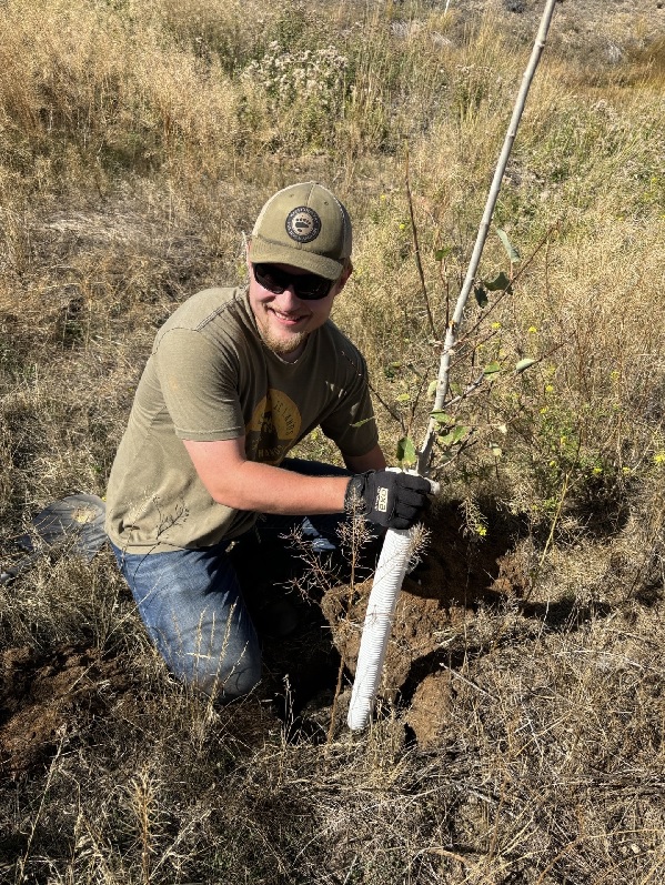 Montana Tech student Gavin Rahl plants a tree