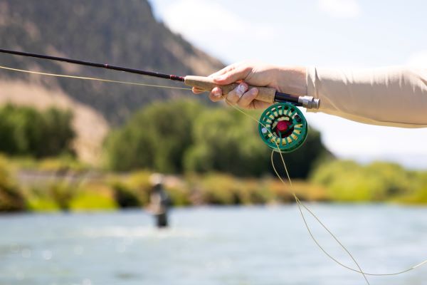A fly fishing rod.