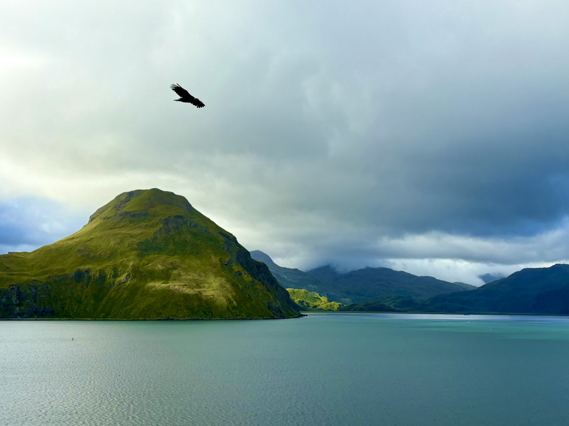Overlooking Unalaska Island; Eagle flying overhead