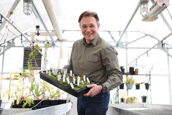 Dr. Robert Pal in the greenhouse