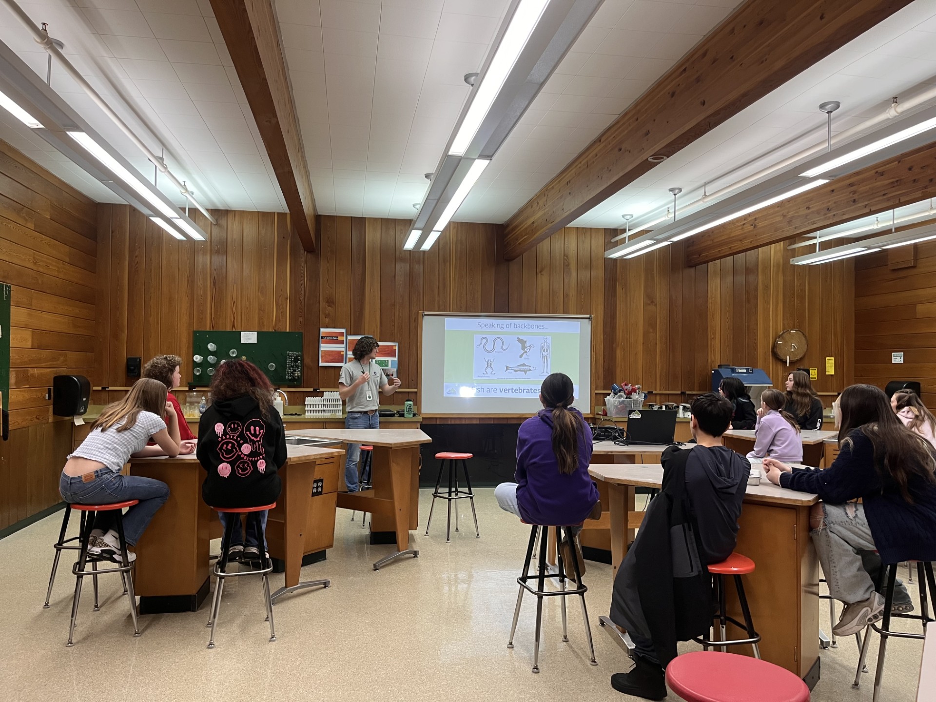 students looking at a screen
