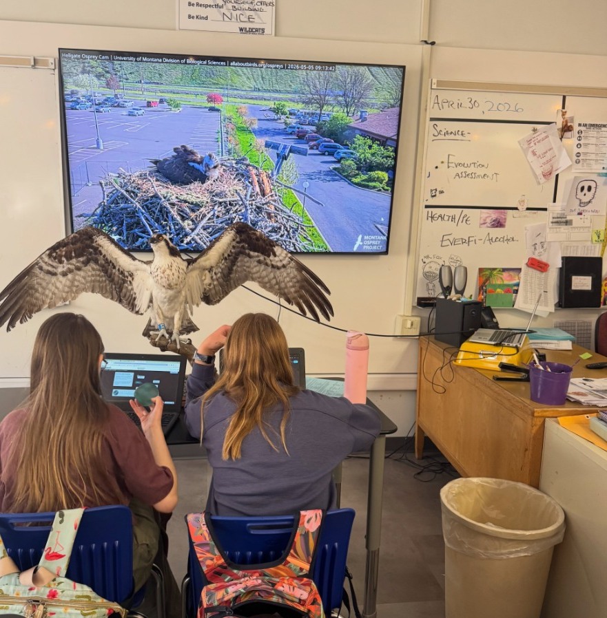 students studying in classroom