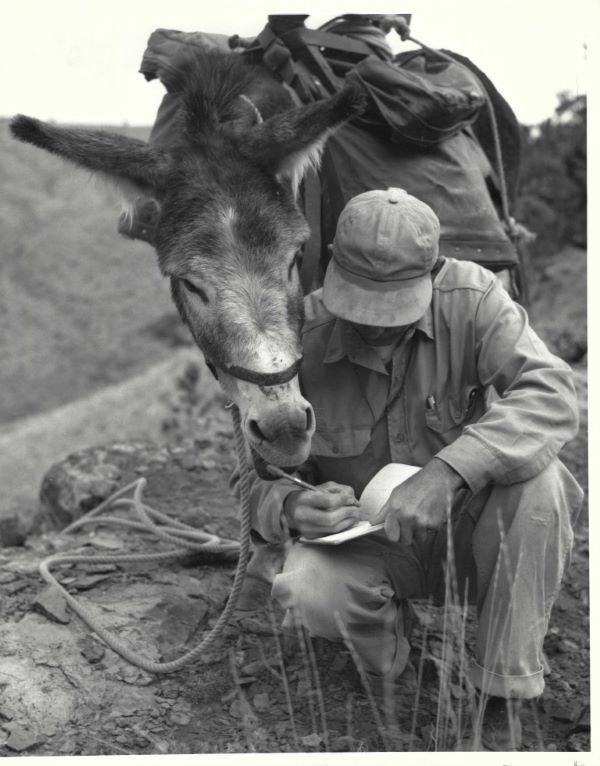 Hugh Dresser works in the field