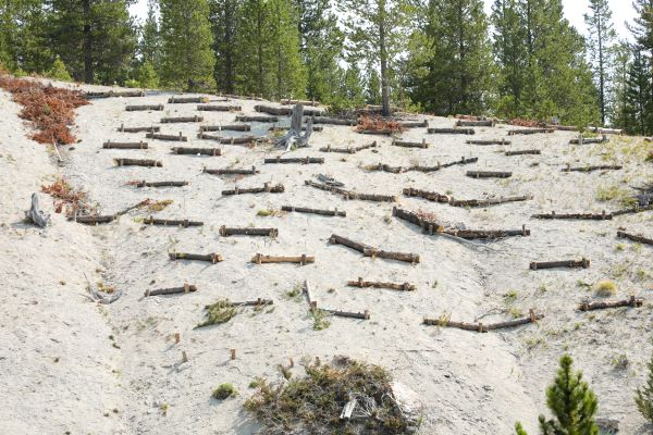 An array of structures holds soil to a hillside. 